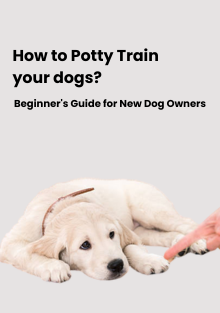 Effortless Potty Training Beginner's Guide for New Dog Owners